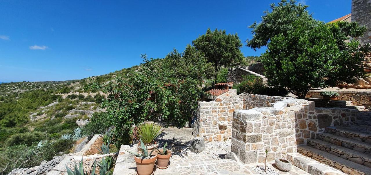 Agave Hébergement de vacances Veliko Grablje