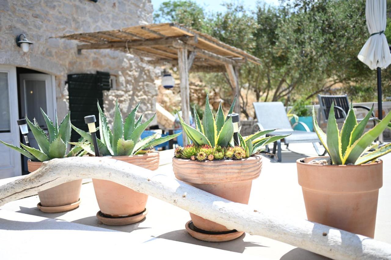 Agave Hébergement de vacances Veliko Grablje