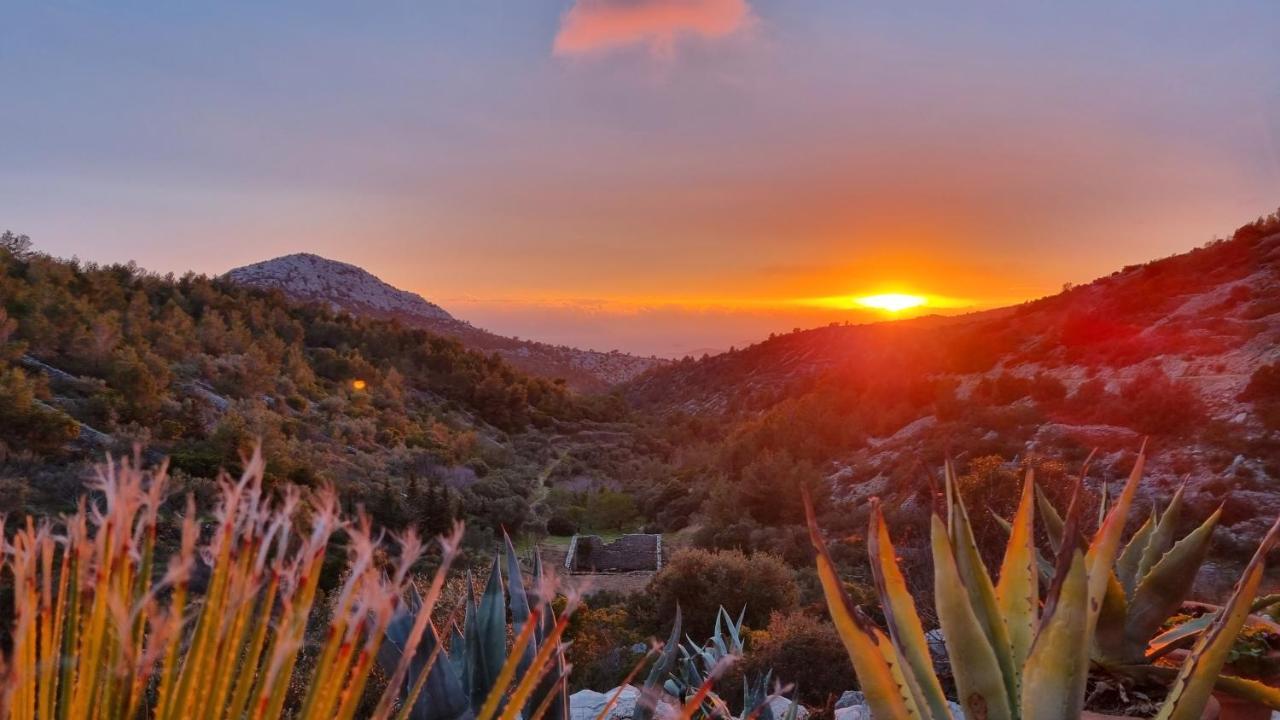 Holiday home Agave