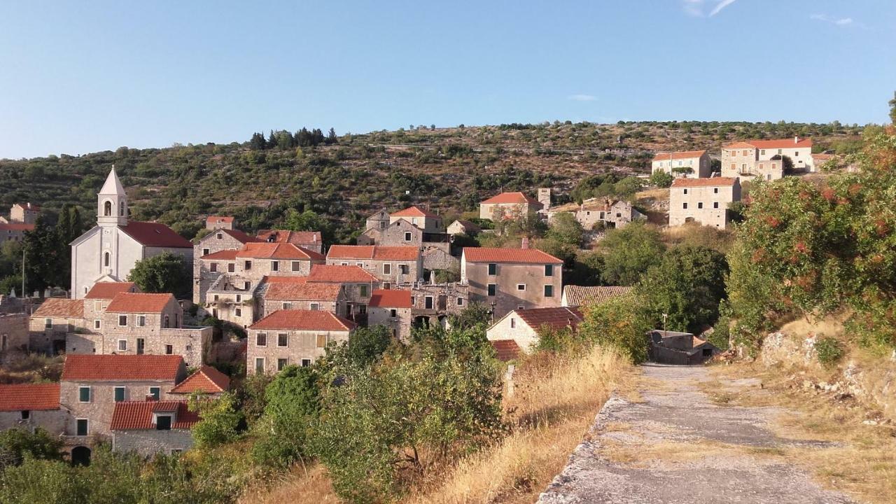 Agave Holiday home Veliko Grablje