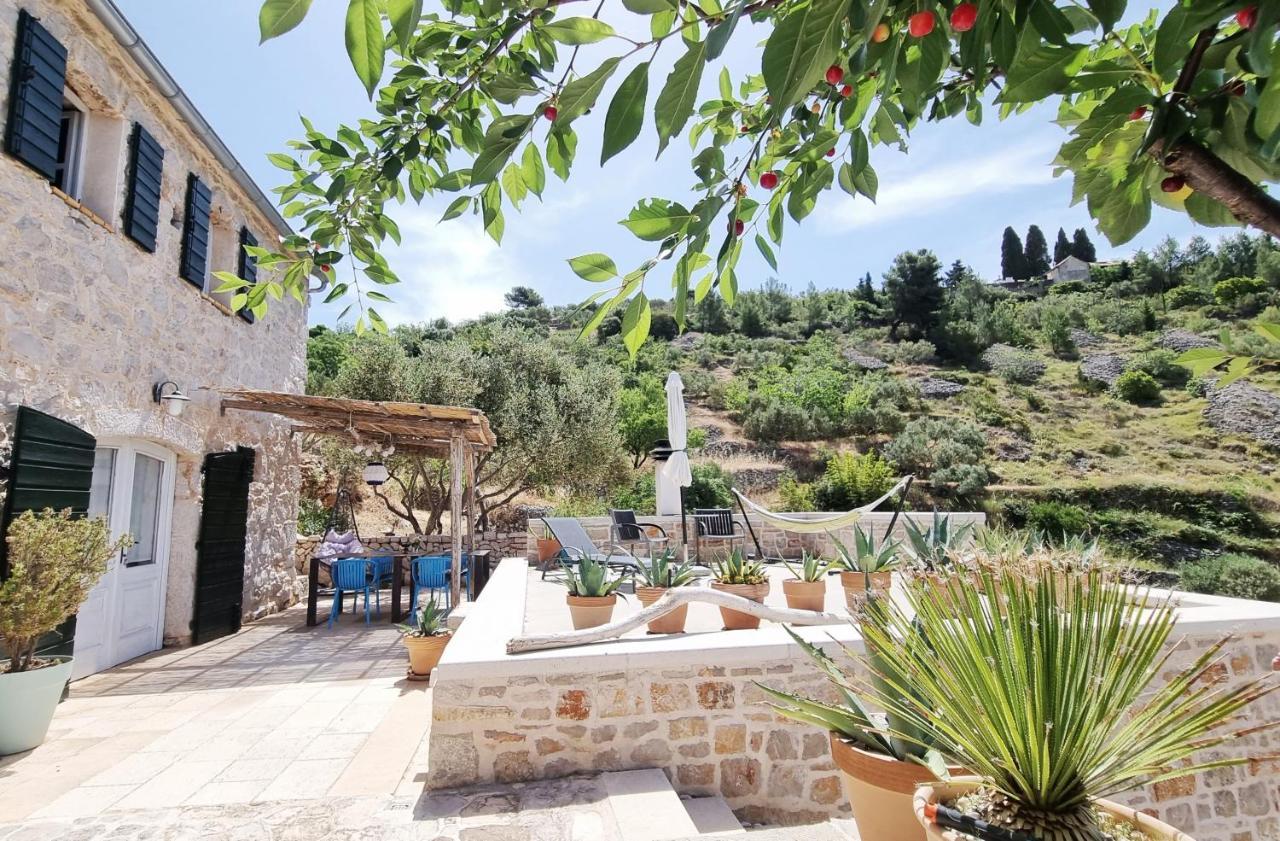 Agave Hébergement de vacances