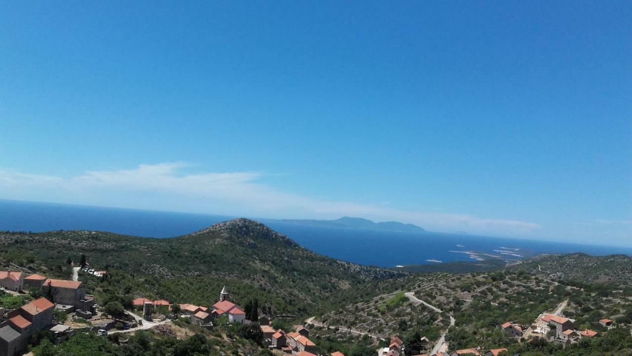 Agave Hébergement de vacances Veliko Grablje